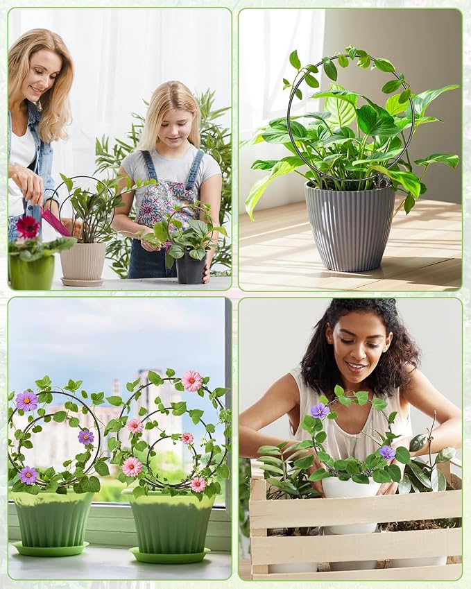 3 Pcs Different Sizes Metal Hoya Trellis, Small Round Indoor Plant Trellis - Image 7