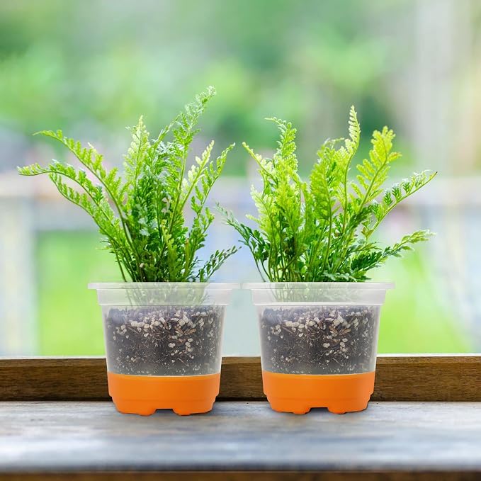MIXC Thickened Clear Nursery Pots - Image 7