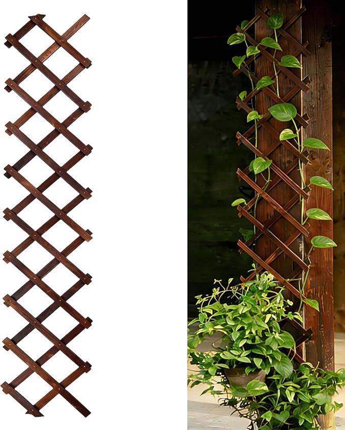 Expandable Garden Trellis, Wooden Lattice Wall Fence Trellis by Bounmer