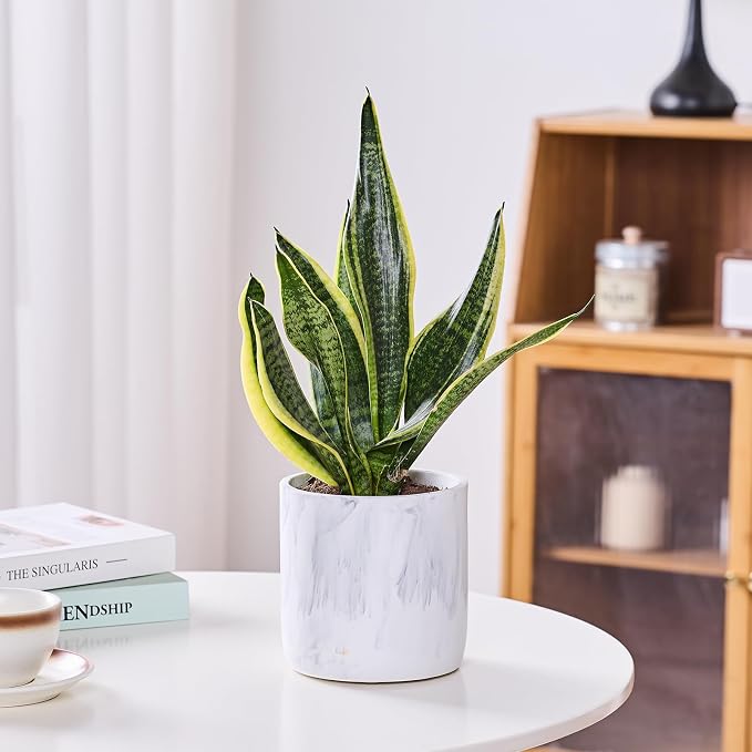 Ekirlin 6 Inch Resin Plant Pot Indoor - Image 3