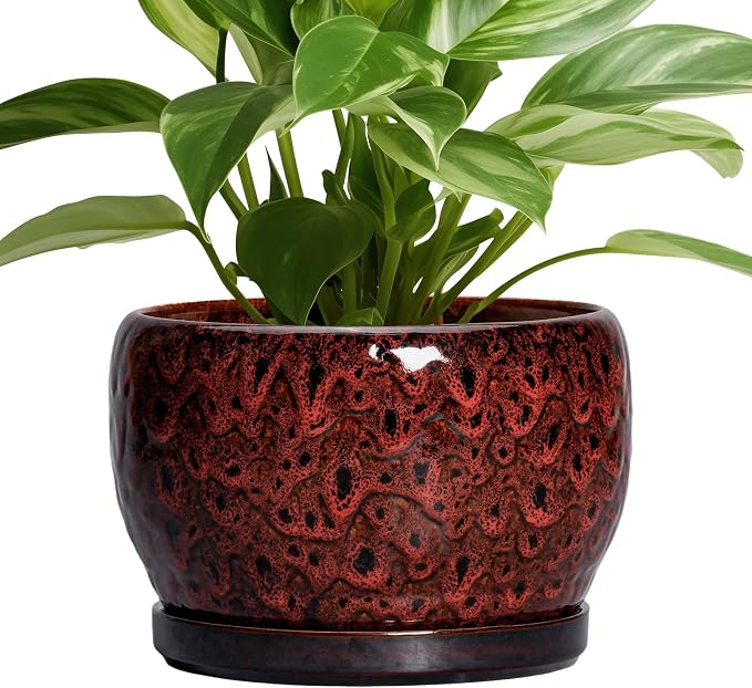 SQOWL Ceramic Plant Pots by SQOWL