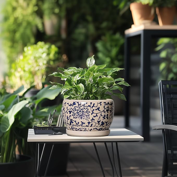 SQOWL Ceramic Planters for Indoor Plants - Image 5