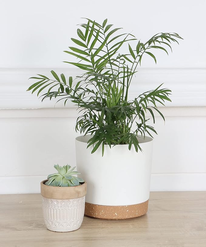 kubvici Indoor Plant Pots Planters 8 inch Plastic Planter - Image 2