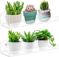 2 Pack 12 Inch Acrylic Window Boxes Plant Shelves, by Skewo