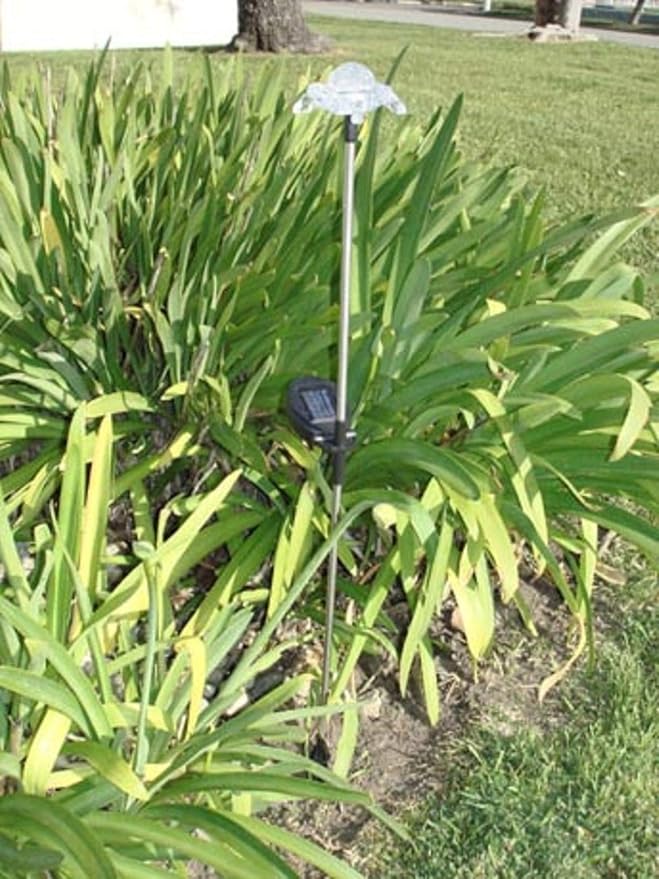 Solar Garden Stake Lights with Color Changing LED or Regular White LED - Image 3