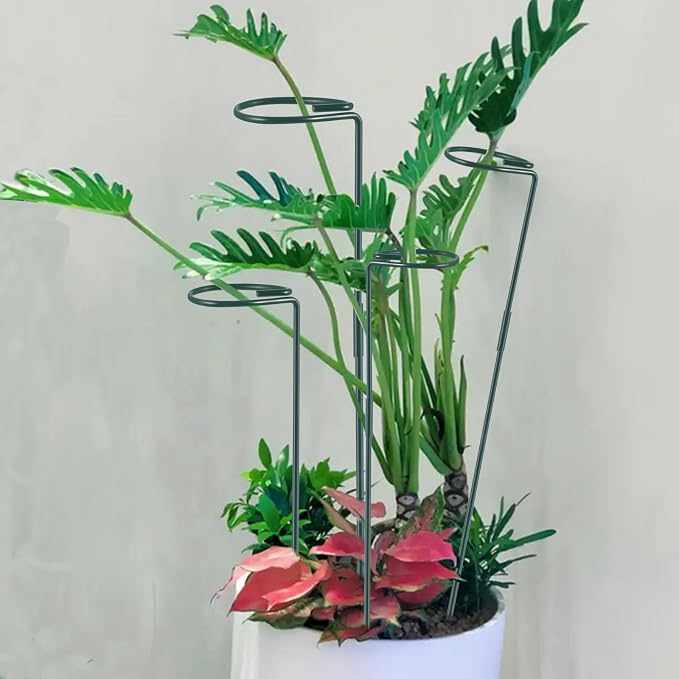 Plant Stake Support - Image 5