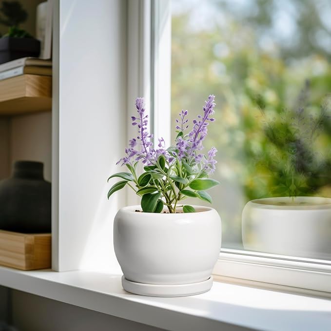 SQOWL Ceramic Flower Pots - Image 2