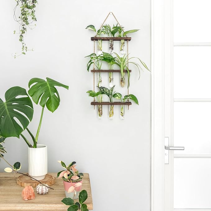 Mkono Plant Propagation Tubes, 3 Tiered Wall Hanging Terrarium - Image 2