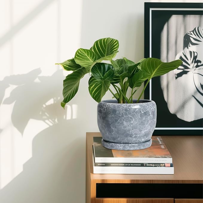 SQOWL 6 Inch Plant pots Indoor - Image 6