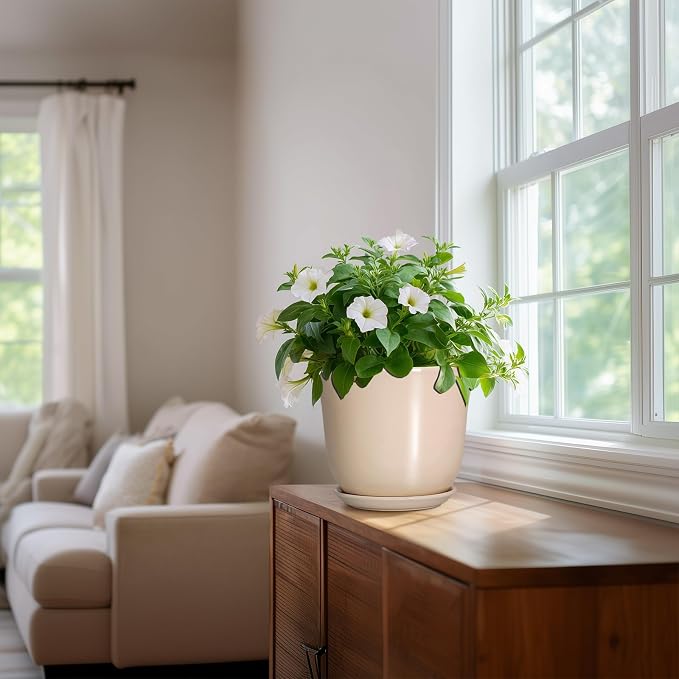 8 Inch Plant Pot - Image 6
