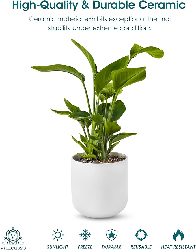 vancasso 8 Inch Ceramic Plant Pots, Planters - Image 4