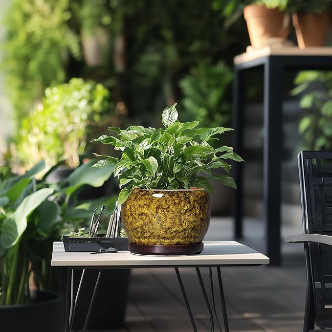 SQOWL Ceramic Flower Pots - Image 5