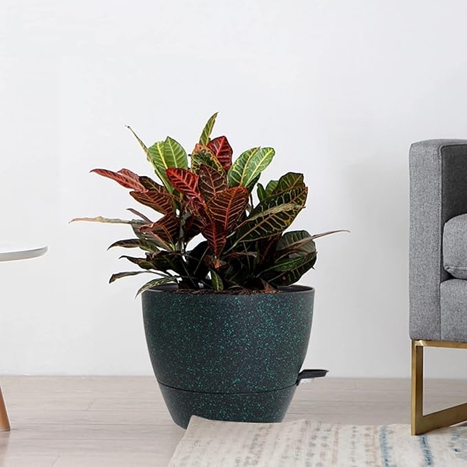 Large Self Watering Pots, 12/10/9 Plastic Planters - Image 7