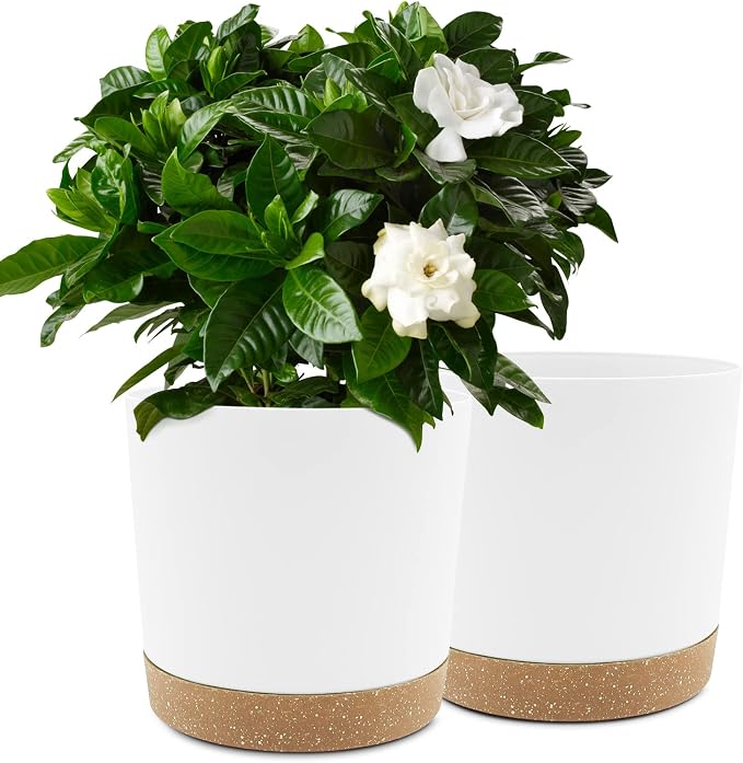 QCQHDU 10 inch Plant Pot, 2 Pack Planters by QCQHDU
