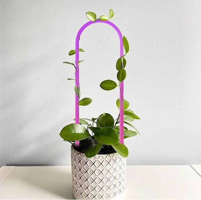 3 Pack Colorful Acrylic Plant Trellis - Image 4
