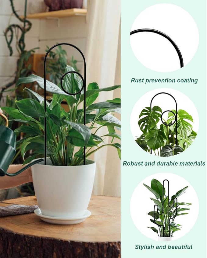 Small Plant Trellis for Climbing Plants Indoor - Image 5