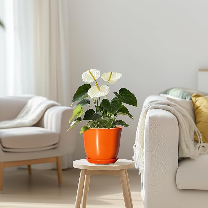 5.6 Inch Plant Pot - Image 7