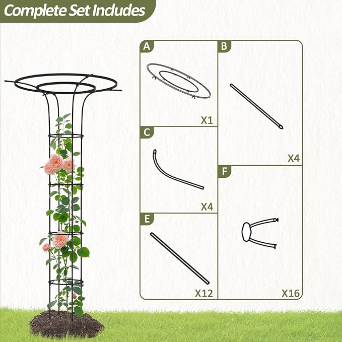 Trellis for Climbing Plants Outdoor - Image 5