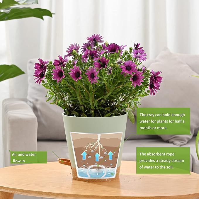 Plant Pots 6 PCS 5 inch Self Watering Planters High Drainage Flowers Pot - Image 4