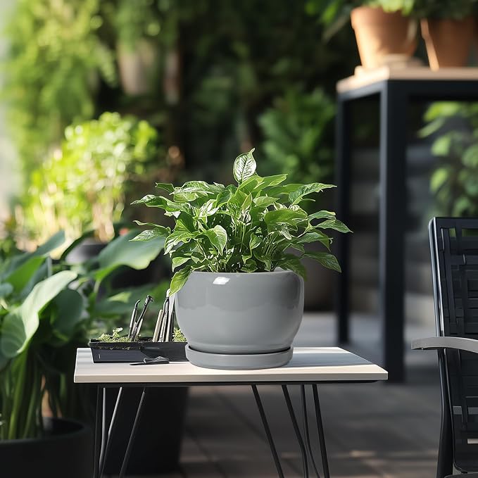 SQOWL Ceramic Pot for Plants - Image 5