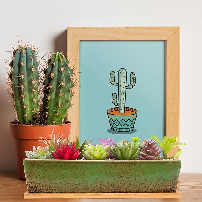 Succulent Pots - Large Succulent Planter Pots - Image 5