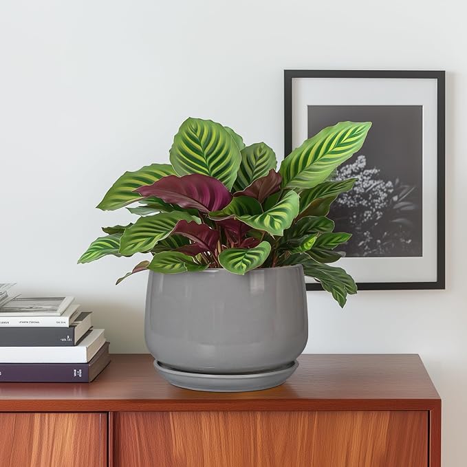 G EPGardening Ceramic Pot for Plants - Image 2