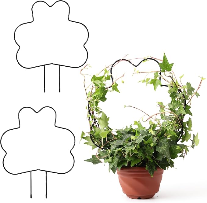 2 Pack Plant Trellis Indoor, 11.2" W x 13.7" H Small Trellis by FHWTY