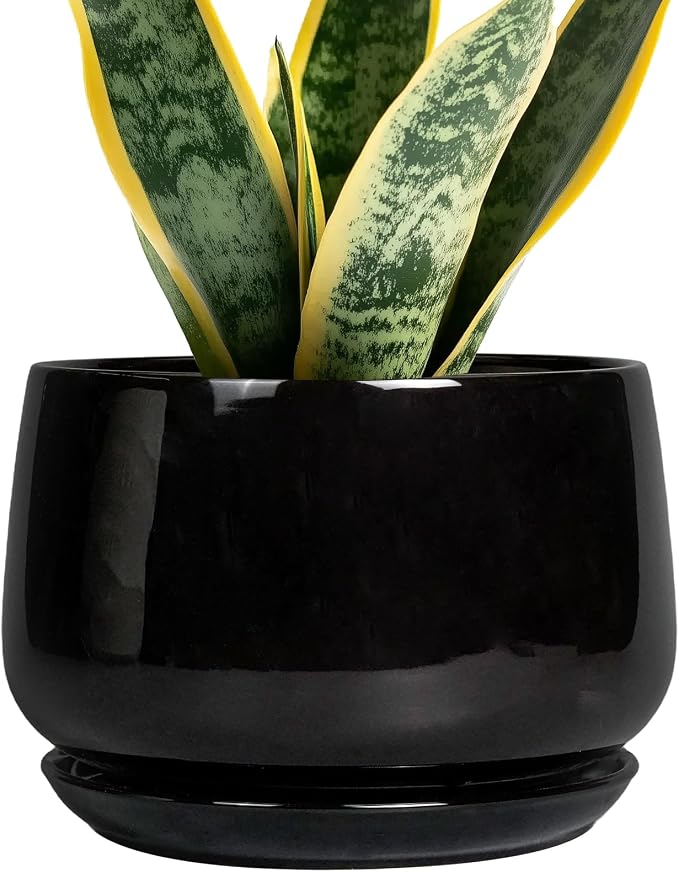 G EPGardening Ceramic Planter 7 Inch by GEPGardening
