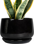G EPGardening Ceramic Planter 7 Inch by GEPGardening
