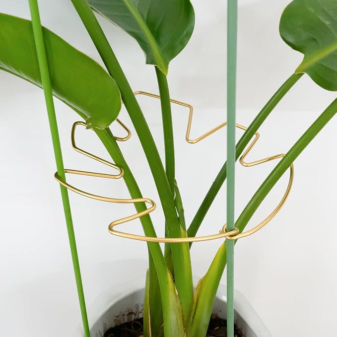5PCS Durable Monstera Plant Stem Support Stake by Yohsnor