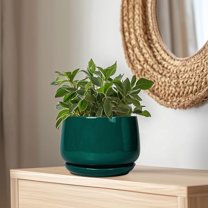 G EPGardening Ceramic Pots for Plants - Image 5