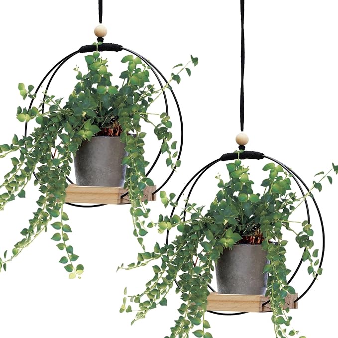 Geelin 2 Pack Plant Hanger by Geelin