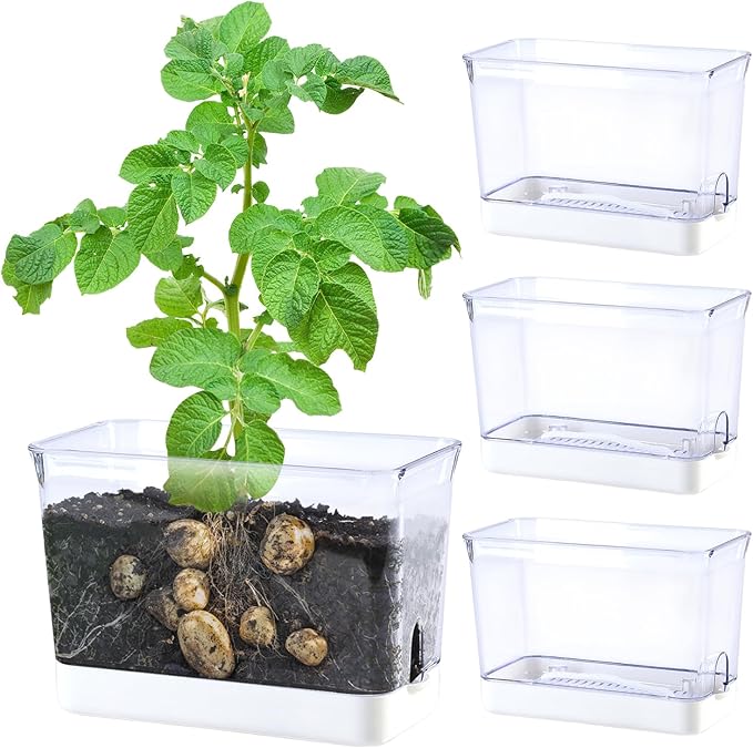 Self Watering Planters by Oliz