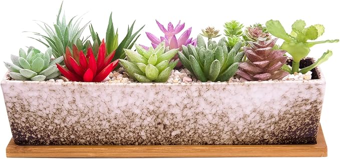 Succulent Pots - Large Succulent Planter Pots by ARTKETTY