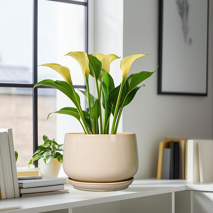 G EPGardening Ceramic Plant Pots - Image 8