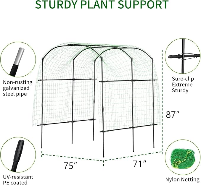 DoCred Tall Garden Arch Trellis - Image 3