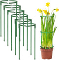12Packs Plant Support Stakes Half Round Plant Stakes by BuyNow