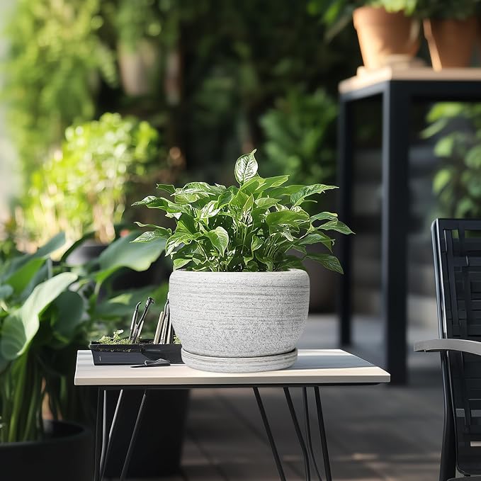 SQOWL Ceramic Plant Pots - Image 5