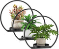Wall Planters for Indoor Plants, Plant Frames Wall Decor Living Room Plant by DEMEGA