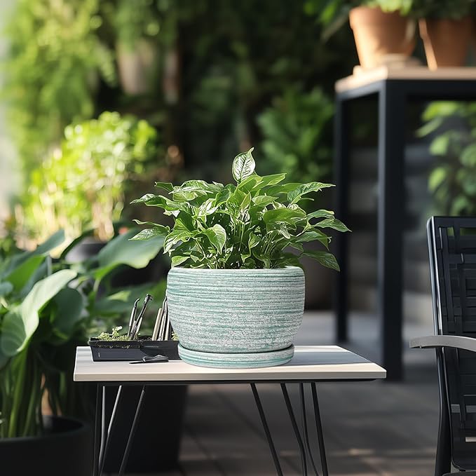 SQOWL Ceramic Planters for Indoor Plants - Image 5