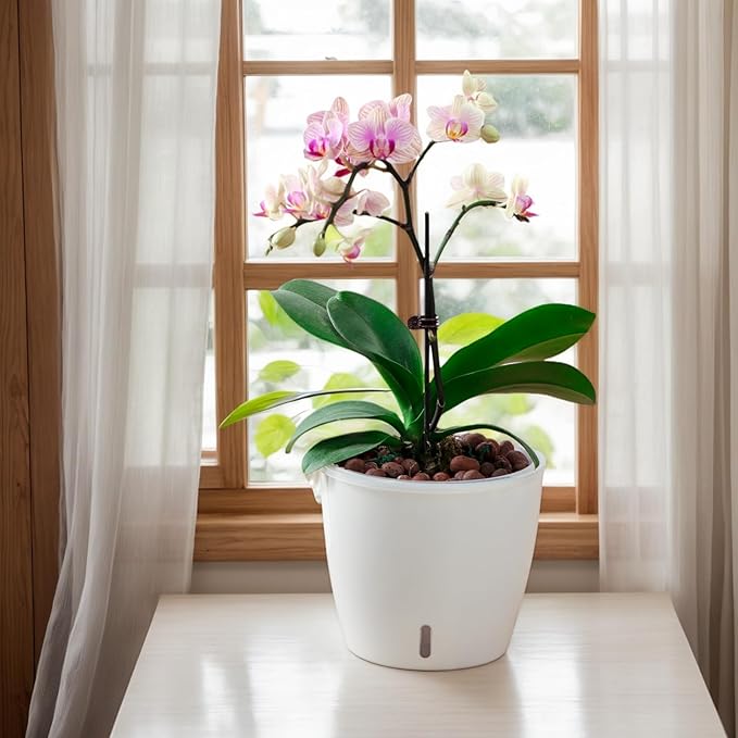 Self-Watering Pots for Indoor Plants, Small African Violet Pots - Image 4
