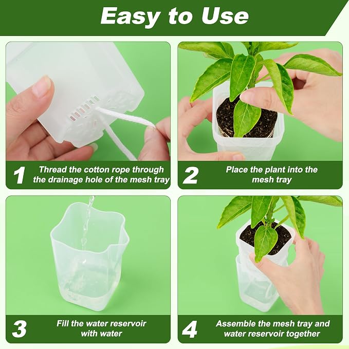 12 Pack Self Watering Pots Set for Indoor Plants, 2.5" Small Clear Self - Image 5