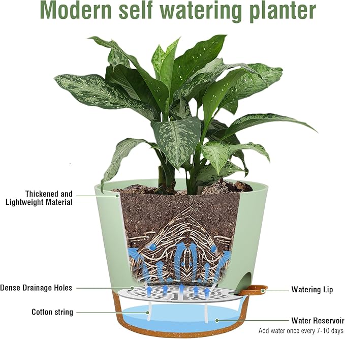 12 inch Large Self Watering Pots - Image 4