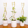 Indoor Plant Trellis for Potted Plants by Goooxim