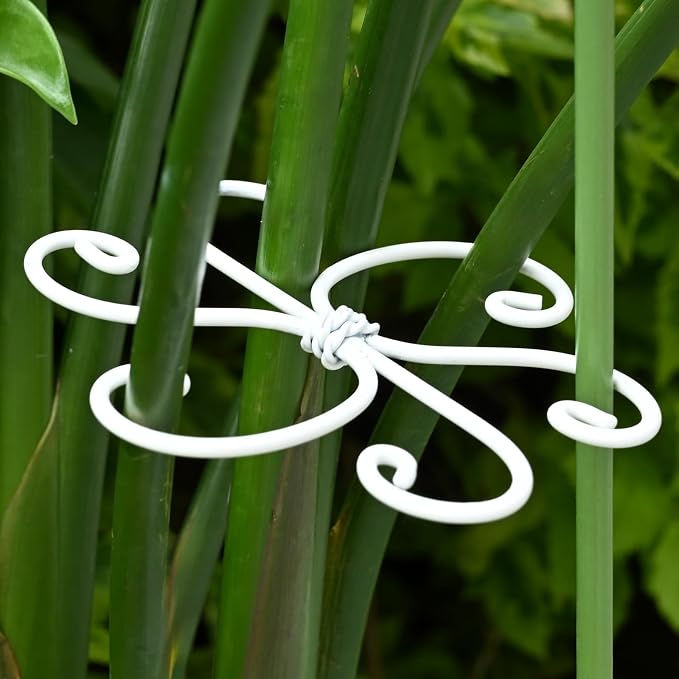 5PCS Monstera Plant Support Hook - Image 6