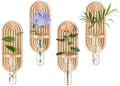 Glasseam Hanging Plant Propagation Stations: Boho Glass Wall Propagation vases by Glasseam