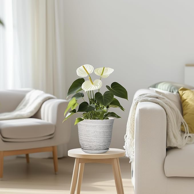 Ceramic Pots for Plants - Image 7