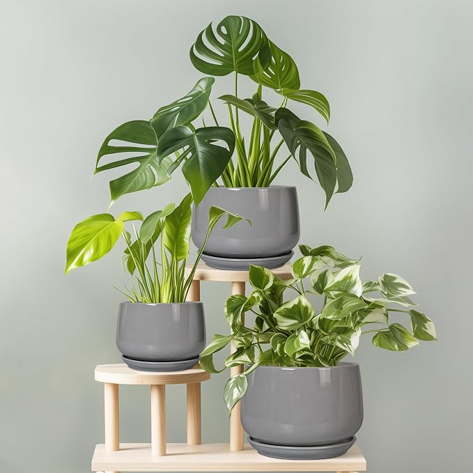 G EPGardening Modern Ceramic Planter - Image 7