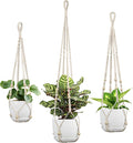 Macrame Plant Hanger by IDEEEPAN