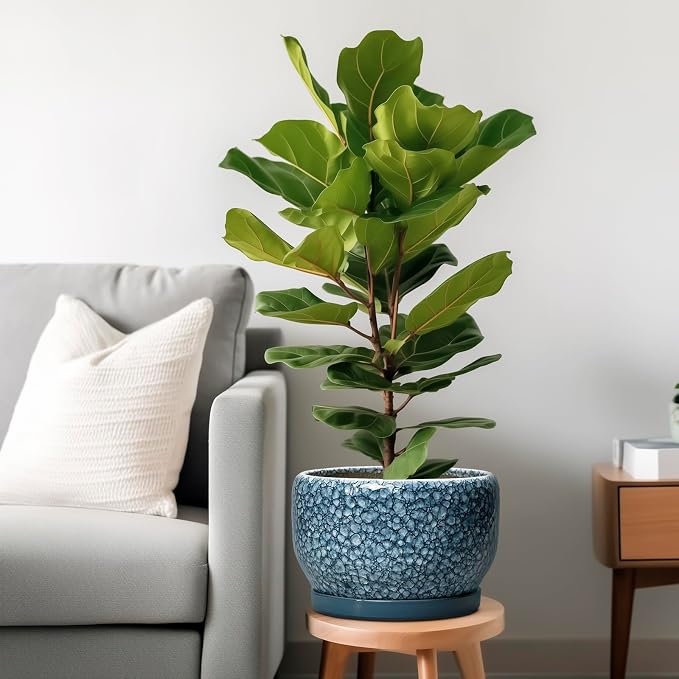 SQOWL Ceramic Planter - Image 2